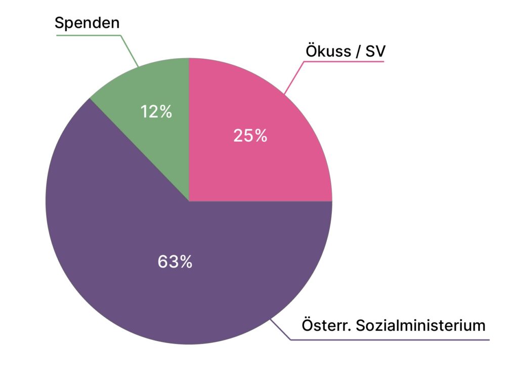 Diagramm Finanzierung 2023 Diagramm Finanzierung 2023
